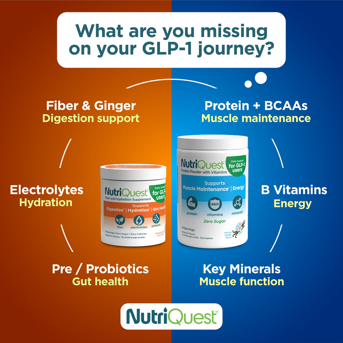 Protein Powder with Vitamins